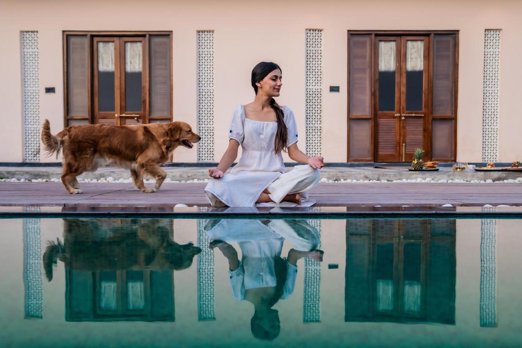 Parijat Private Pool Villa 1, 2 And 3 Bhk Udaipur Dış mekan fotoğraf
